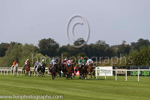 07 Digeanta and P J Smullen - - 07th (8 ,emerald green , orange seams ) Trainer - W P Mullins
