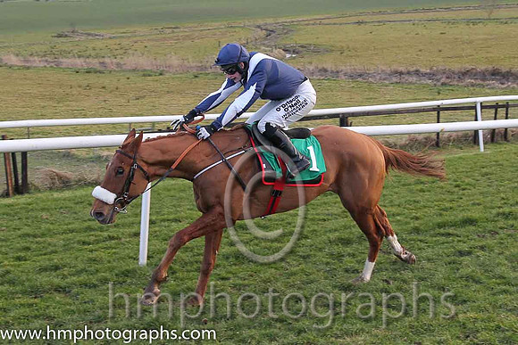 01 Alberta &amp; N. Carberry - Trainer: Gordon Elliott - Owner: Cullentra Racing Syndicate ( blue, white chevron )