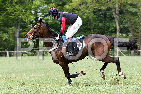 Maypole Dancer, Unplaced, Jockey C Cully - FT8E2484-e