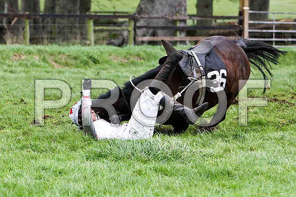 Portanova , Fell - Jockey - P Magee - FT8E5901-e