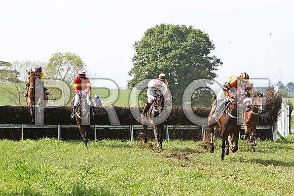 Third Race - Se Beag (2nd) , Rider C M Greene (oranf and black stripes) - CU2D9578-e