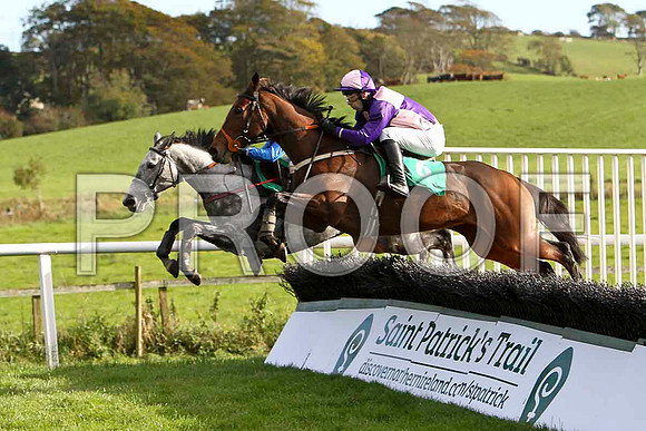 Allys Bubble , Jockey T J Doyle - 2nd - CU2D9254-e