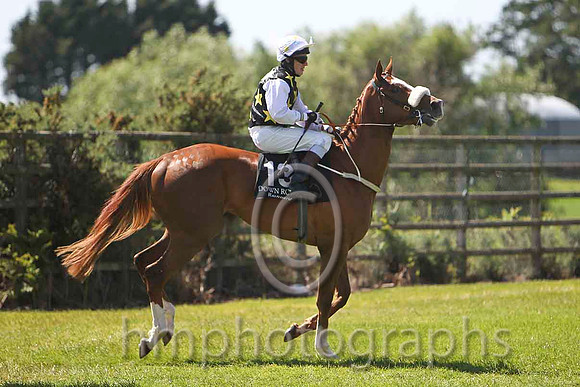 Gaelic Revival 3rd, Jockey M C Hussey - CU2D0233-e