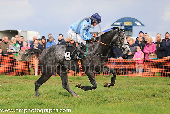 01st RAMORE WILL and N McParlan ( 9 , LIGHT BLUE,navy large spots; light blue sleeves; navy cap ) Trainer: I. R. Ferguson,, Owner : William Porter