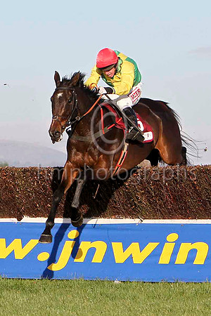 Sizing Europe , 2nd - Jockey A E Lynch - FT8E7005-e3