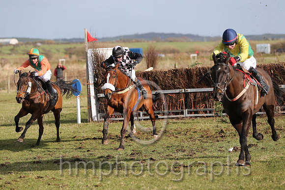 01 Mr Bolt  D H Lavery - Trainer : Sean McParlan, Black and tan check