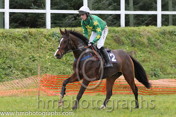 09 Ryansbrook & B O'Neill - Fell (12, emerald green, yellow star) - FT8E0890-2
