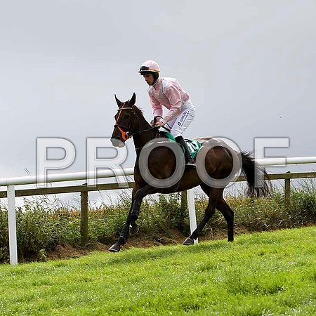 Pink Goddess - 4th , Jockey I J McCarthy - FT8E3858-e