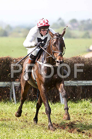 Third Race - Over To The BUtler (1) 5th, Rider W Thompson - CU2D9593-e