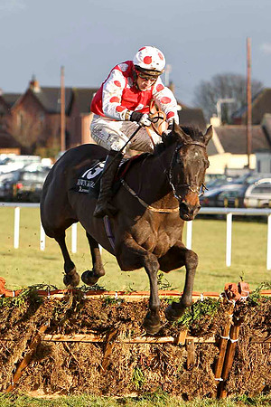 Breeze With Ease 3rd, Jockey E J O'Connell FT8E9918-e