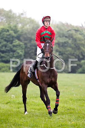 Educated Guess , 7th, Jockey Ms C V Annan  - FT8E2563-e