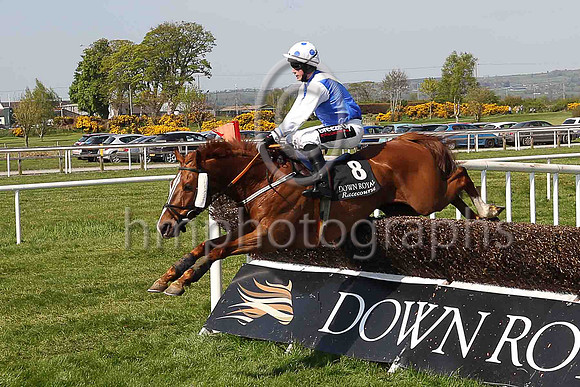 02nd Winter Lion and S W Flanagan ( 8 , royal blue, white sash ) Trainer - Matthew J Smith , Owner - B J Hooper