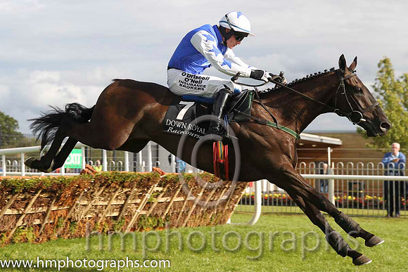 01 Verawal and P Townend - Winner , ( 7 , blue, white stars ) - FT8E0168