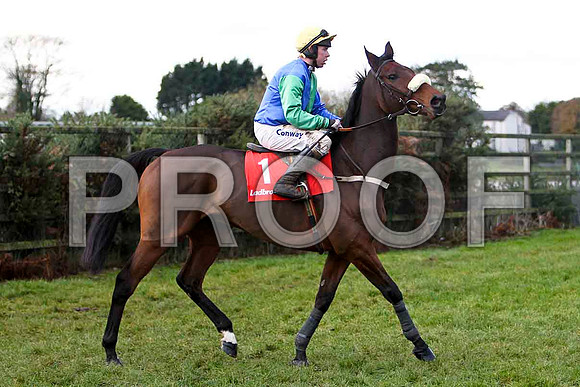 Jadanli , Jockey A E Lynch - 6th - CU2D1175-e