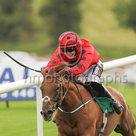 01st Mischievious Max and J J Slevin ( 3 , red, black spot ) Trainer - Joseph P O?Brien , Owner - Colmark Stud Partnership