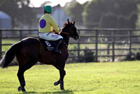 For a Song PU, Jockey Andrew J McNamara - FT8E1008-e