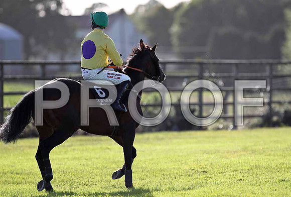For a Song PU, Jockey Andrew J McNamara - FT8E1008-e