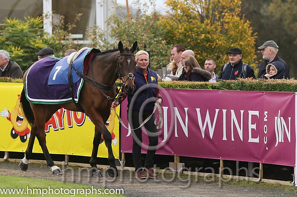 07 Tammys Hill and A E Lynch - - 07th (7 ,white, emerald green sleeves ) Trainer - L Lennon
