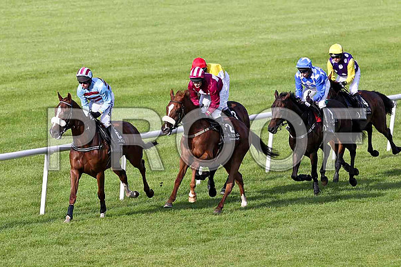 Soldier Bay in the lead , Jockey A E Lynch - 5th - FT8E3814-e