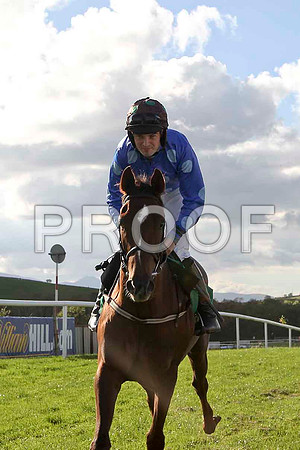 Katys Girl - Jockey M W Bowes - Fell - FT8E4410-e