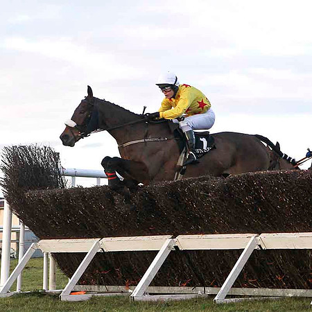 Hidden Crack (Yellow) - Winner, Jockey S E Butler - CU2D3249-e