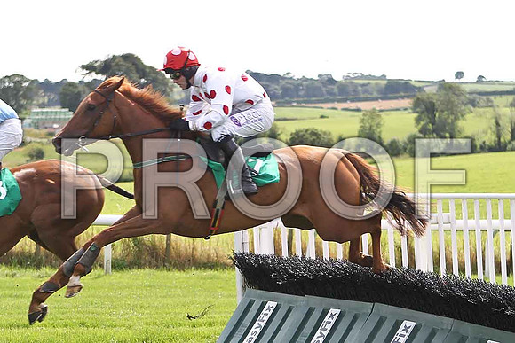Surprise Vendor Fell, Jockey Mr B T O'Connell - FT8E2932-e
