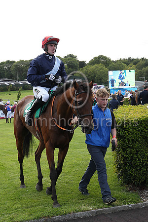 01st Slippery Serpent and Mr B O?Neill ( 2 , black, white cross sash ) Trainer - E J O?Grady , Owner - Mrs E J O?Grady