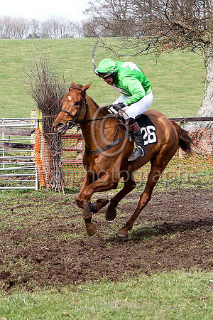Third Race - Gris Lord (26) 4th Div 1 - CU2D7104-e
