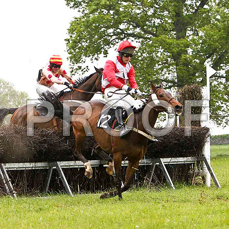 Miss Katelyn , 2nd, Jockey D L Queally & Knockans Breeze , 3rd, Jockey - P J Flood -  - FT8E2596-e