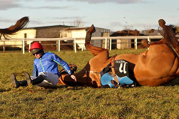 Rocklet (11) Fell - Jockey , M J Bolger - CU2D3284-e