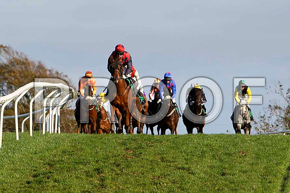 Oily Colman in the lead , Jockey M Darcy - PU - CU2D9352-e