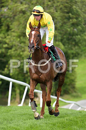 Cybersnow , winner, Jockey K M Donoghue - CU2D1755-e
