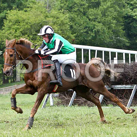 Nik Libre - Unplaced, Jockey C McCartan - FT8E2510-e