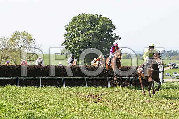 Third Race - Nobel Steel (10) Winner, Rider B O'Neill- CU2D9574-e