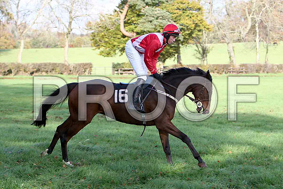 CU2D0350-e
