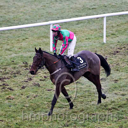 Lord Mark 8th, Jockey T C Carroll - CU2D2193-e
