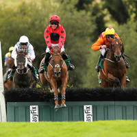 01st Mischievious Max and J J Slevin ( 3 , red, black spot ) Trainer - Joseph P O?Brien , Owner - Colmark Stud Partnership
