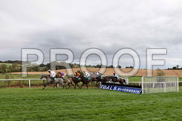 Kilrush - 2nd , Jockey R M Power - in the lead - IMG_9492-e