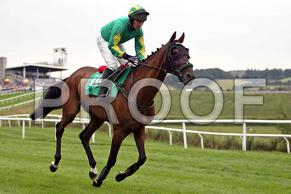 Randoon Hill 3rd, Jockey P Carberry- CU2D0898-e