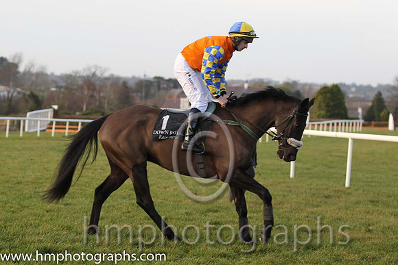 02 Mister Nibbles & Mr B G Crawford - 2nd (1, orange, royal blue star ) - FT8E1815-41