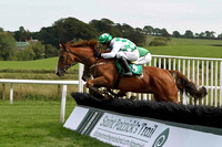 Wise Butler 5th, Jockey Mr B T O'Connell - FT8E3009-e