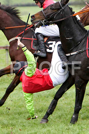P N O'Brien Jockey of Boston Lord tumbling to the ground - FT8E5652-e3