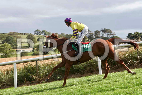 Swift Accordian - 8th , Jockey A P Cawley  - IMG_9418-e