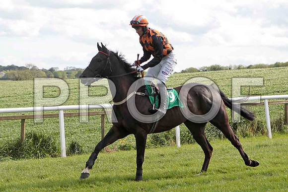 Definite Magic , 7th, Jockey - B T O'Connell - CU2D9218-e