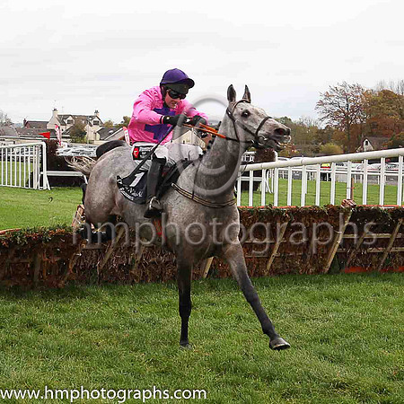 08th Macs Bach and P T Enright ( 3 , white, red spots ) Trainer - Ms M Flynn , Owner - Santry Power Walsh Syndicate