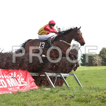 Pilgrams Run , PU, Jockey - J Cresswell - CU2D4660-e