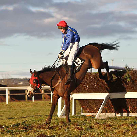 Queen Court 9th, Jockey G N Fox -CU2D3294-e