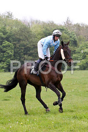 Ballykenny , UR, Jockey - R M Johnston - FT8E2633-e