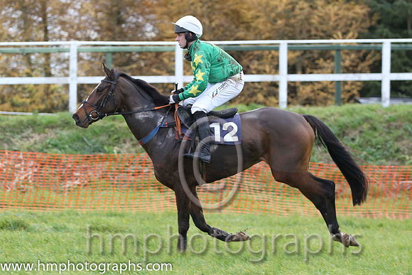 09 Ryansbrook & B O'Neill - Fell (12, emerald green, yellow star) - FT8E0894-6
