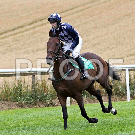 Kilcross Boy - 10th , Jockey T J Doyle - FT8E3827-e